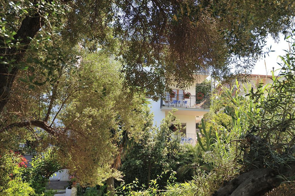Apartment Dissoro