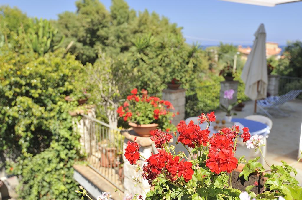 Apartment Dissoro